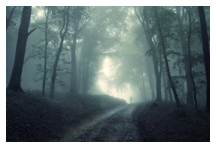 Depressionen immer häufiger
