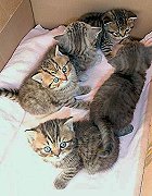 2005-01-schicksal2