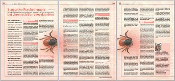 2008-02-borreliose1