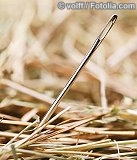Die Nadel im Heuhaufen - fotolia©volff
