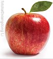fotolia©xiangdong Li