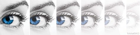 fotolia©IKO