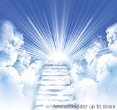 fotolia©ladder up to skies