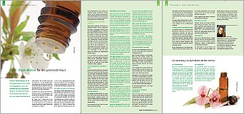 2013-01-Bach4