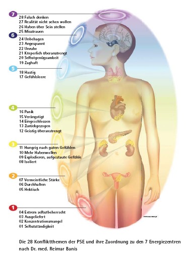 Die 28 Konfl iktthemen der PSE und ihre Zuordnung zu den 7 Energiezentren nach Dr. med. Reimar Banis