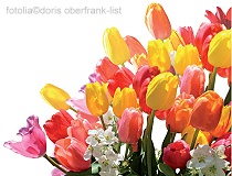 fotolia©doris oberfrank-list