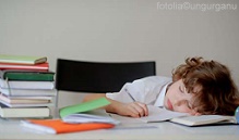 fotolia©ungurganu