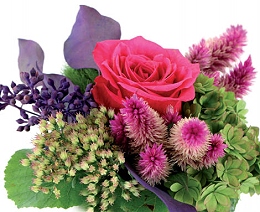 fotolia©sonne07